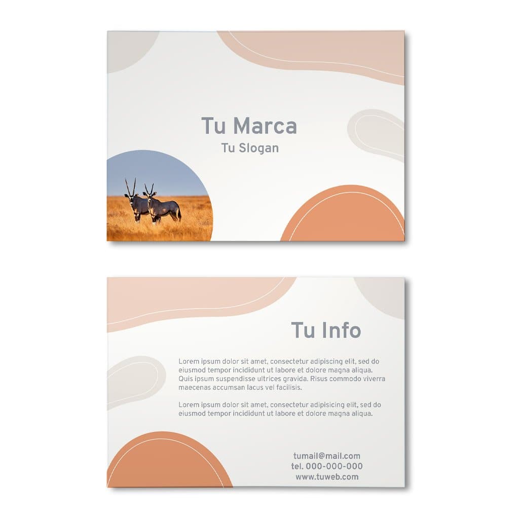 Volantes 1/4 de Carta a Color - Pop México